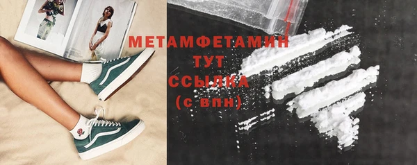прущие грибы Беломорск