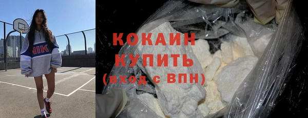 PSILOCYBIN Белокуриха