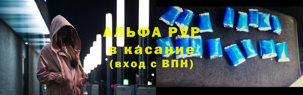 PSILOCYBIN Белокуриха
