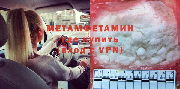 прущие грибы Беломорск