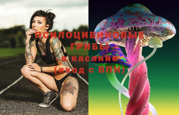 PSILOCYBIN Белокуриха