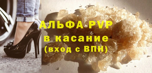 прущие грибы Беломорск
