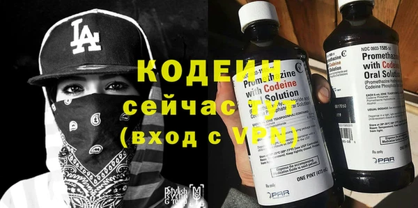 PSILOCYBIN Белокуриха