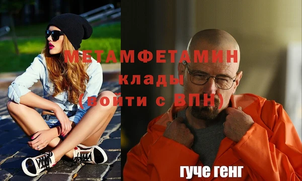 прущие грибы Беломорск