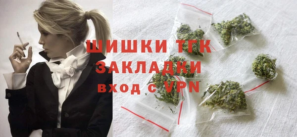 прущие грибы Беломорск