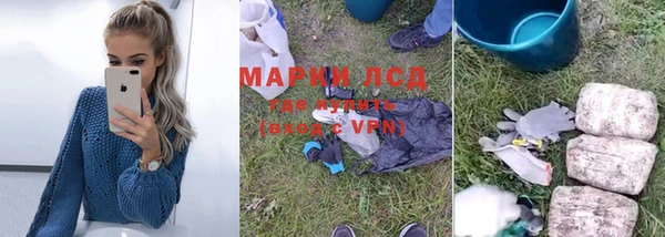 прущие грибы Беломорск