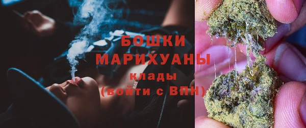 МДПВ Богородск