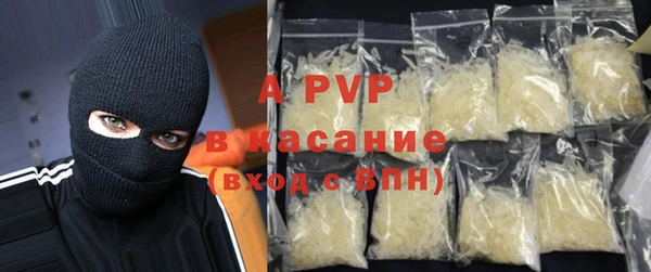 PSILOCYBIN Белокуриха