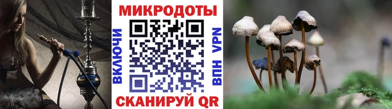 Галлюциногенные грибы мухоморы  Трубчевск 